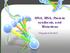 DNA, RNA, Protein synthesis, and Mutations. Chapters 12-13.3