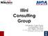 Illini Consulting Group