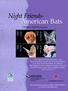 American Bats. Night Friends- On-line Activity Guide