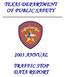 TEXAS DEPARTMENT OF PUBLIC SAFETY