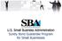 U.S. Small Business Administration Surety Bond Guarantee Program for Small Businesses