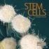 STEM CELLS. MRC research for lifelong health