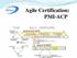 Agile Certification: PMI-ACP