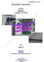 PROPERTY REPORT. XXXX Islington, London. N1 XXX FOR. Miss X. Prepared by: XXXXX INDEPENDENT CHARTERED SURVEYORS. Marketing by: www.1stassociated.co.