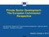 Private Sector Development: The European Commission Perspective