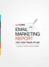 EMAIL MARKETING REPORT. How India Reads Emails