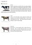 1. About dairy cows. Breed of dairy cows