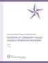 Community-Based Program Evaluation Series: Overview of Community-Based Juvenile Probation Programs. Part 1