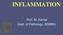 INFLAMMATION. Prof. M. Kamal Dept. of Pathology, BSMMU