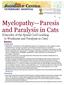 Myelopathy Paresis and Paralysis in Cats