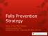 Falls Prevention Strategy
