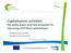 Capitalisation activities: the policypaperand new proposalsfor improving ELIH-Med capitalisation