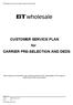 CUSTOMER SERVICE PLAN for CARRIER PRE-SELECTION AND DEDS