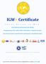 IGW+ Certificate. I d e a l G r o u p i n W e b. International professional web design,