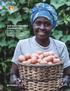 THE MASTERCARD FOUNDATION: RURAL AND AGRICULTURAL FINANCE STRATEGY