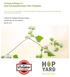 Technical Report 2: Hop Farming Business Plan Template