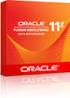 Oracle Business Intelligence Suite Enterprise Edition Overview and Benefits