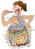 Digestive system - how food is digested