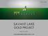 SAVANT LAKE GOLD PROJECT. May 24, 2016 WWW.NEWDIMENSIONRESOURCES.COM