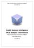Kyubit Business Intelligence OLAP analysis - User Manual