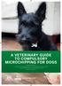 A VETERINARY GUIDE TO COMPULSORY MICROCHIPPING FOR DOGS