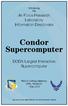 Condor Supercomputer