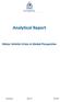 Analytical Report. Motor Vehicle Crime in Global Perspective
