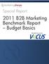 2011 B2B Marketing Benchmark Report Budget Basics