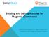 Building and Selling Modules for Magento ecommerce. Christos Constantinou, @christosconst Cryozonic Ltd, http://cryozonic.com/