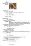 Curriculum vitae Europass