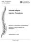 A Guide to Spine Injection Procedures