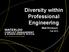 Diversity within Professional Engineering