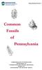 Common Fossils of Pennsylvania