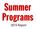 Summer Programs. 2015 Report