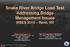 Snake River Bridge Load Test Addressing Bridge Management Issues WBES 2015 Reno, NV