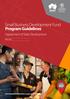 Small Business Development Fund Program Guidelines