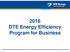 2016 DTE Energy Efficiency Program for Business
