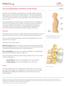 .org. Cervical Spondylosis (Arthritis of the Neck) Anatomy. Cause