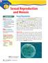 Sexual Reproduction. and Meiosis. Sexual Reproduction