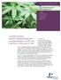 Cannabis Analysis: Potency Testing Identification and Quantification of THC and CBD by GC/FID and GC/MS