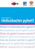 What is Helicobacter pylori? hat problems can H. pylori cause? Does H. pylori cause cancer? ight H. pylori even be good for us?