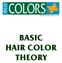 PROFESSIONAL HAIR COLOR BASIC HAIR COLOR THEORY