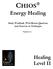 CHIOS. Energy Healing. Study Workbook, With Review Questions And Exercises on Techniques. Version 1.4