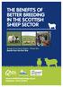 THE BENEFITS OF BETTER BREEDING IN THE SCOTTISH SHEEP SECTOR