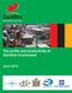 The profile and productivity of Zambian businesses