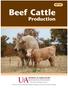 Beef Cattle. Production MP184 DIVISION OF AGRICULTURE R E S E A R C H & E X T E N S I O N