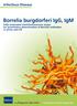 Borrelia burgdorferi IgG, IgM Fully automated chemiluminescence assays for quantitative determination of Borrelia antibodies in serum and CSF