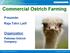 Commercial Ostrich Farming