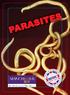 Chagas Disease. Length of Parasite 20 µm. Deaths Per Year 50,000 Number of Life Cycle Stages 4 Geographical Distribution (Countries) 26