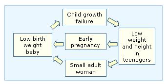Nutritional status and low birth weight. It is estimated that each year 24 million babies are born with low birth weight (LBW), which means less than 2.5 kg.